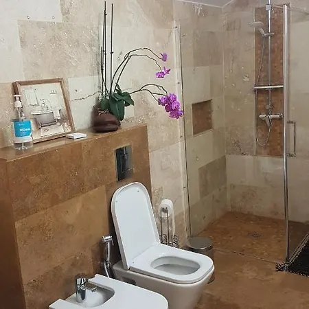 Gæstehus Casa Magnolia Douăzeci şi Trei August