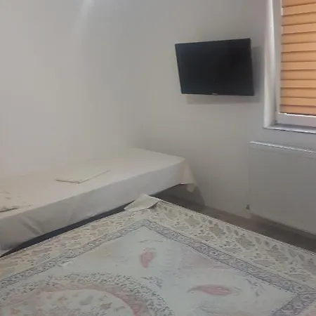 Casa Magnolia Gæstehus Douăzeci şi Trei August