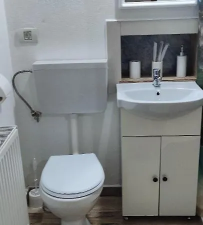 Gæstehus Casa Magnolia Douăzeci şi Trei August