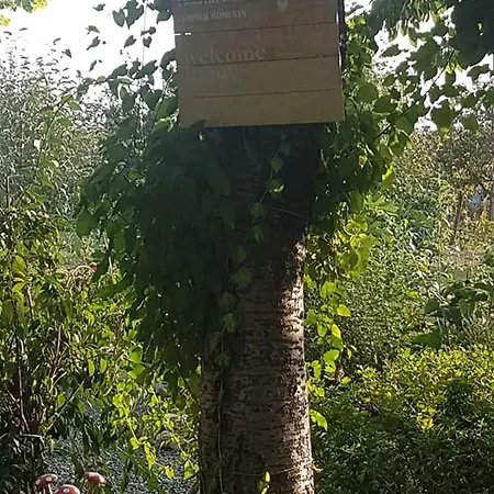 Gæstehus Casa Magnolia *