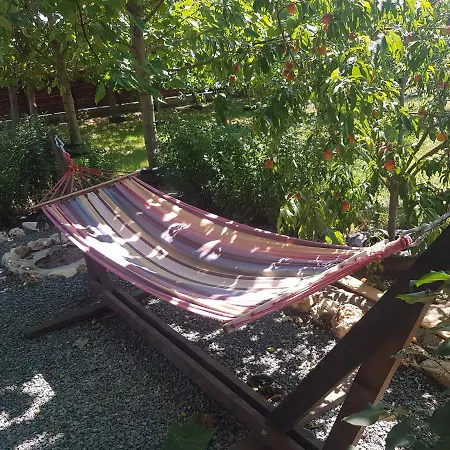 Casa Magnolia Guest house