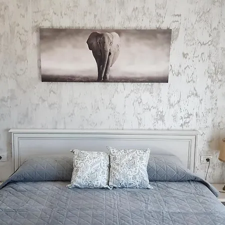 Affittacamere Casa Magnolia Douăzeci şi Trei August