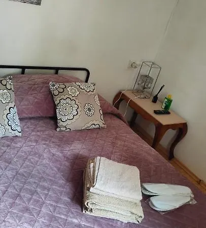 Guest house Casa Magnolia Douazeci si Trei August